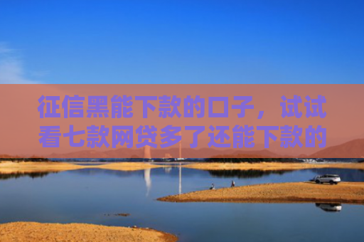 征信黑能下款的口子，试试看七款网贷多了还能下款的口子