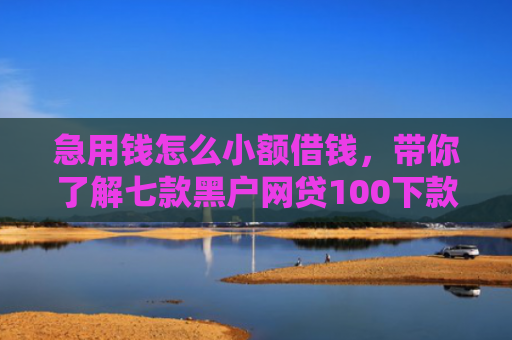 急用钱怎么小额借钱，带你了解七款黑户网贷100下款口子
