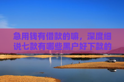 急用钱有借款的嘛，深度细说七款有哪些黑户好下款的网贷