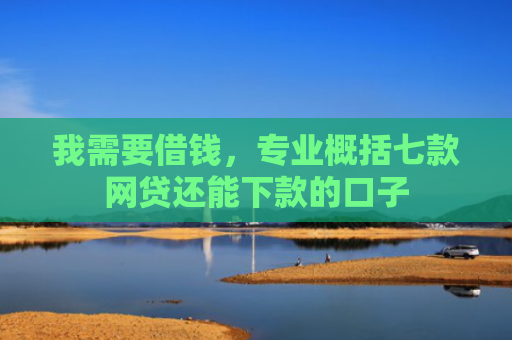 我需要借钱，专业概括七款网贷还能下款的口子