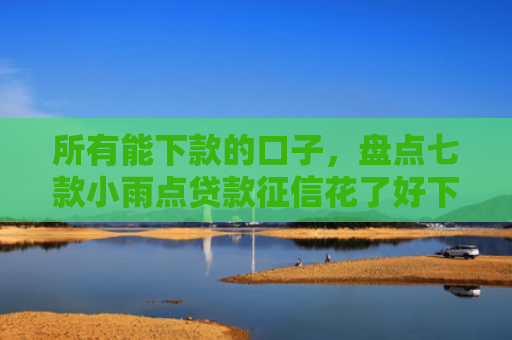 所有能下款的口子，盘点七款小雨点贷款征信花了好下款么