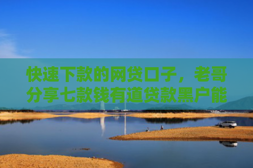 快速下款的网贷口子，老哥分享七款钱有道贷款黑户能下款吗