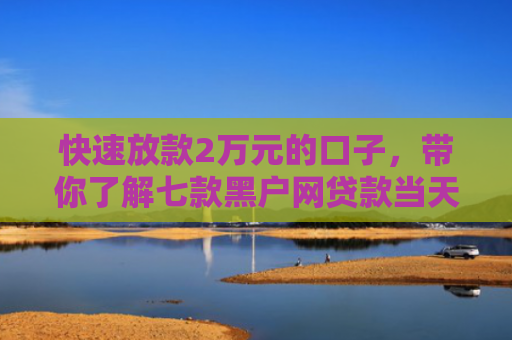 快速放款2万元的口子，带你了解七款黑户网贷款当天下款