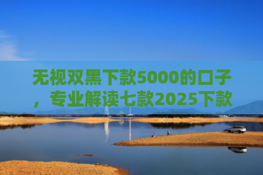 无视双黑下款5000的口子，专业解读七款2025下款率高的网贷口子
