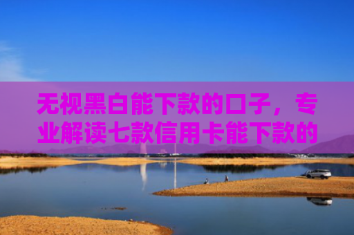 无视黑白能下款的口子，专业解读七款信用卡能下款的网贷口子
