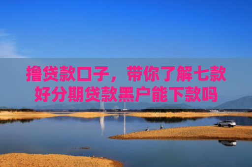 撸贷款口子，带你了解七款好分期贷款黑户能下款吗