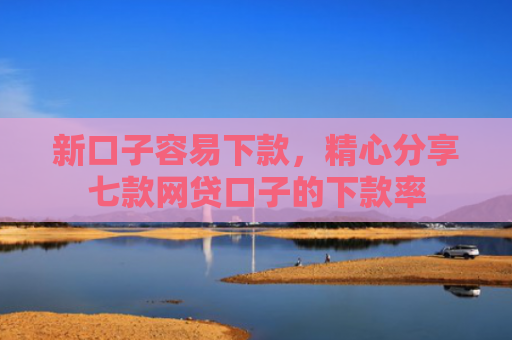 新口子容易下款，精心分享七款网贷口子的下款率