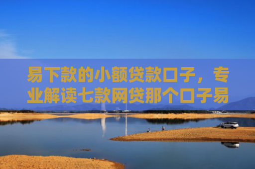 易下款的小额贷款口子，专业解读七款网贷那个口子易下款