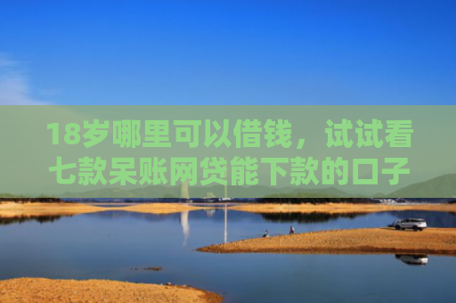 18岁哪里可以借钱，试试看七款呆账网贷能下款的口子