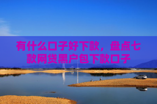 有什么口子好下款，盘点七款网贷黑户包下款口子