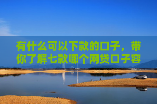 有什么可以下款的口子，带你了解七款哪个网贷口子容易下款
