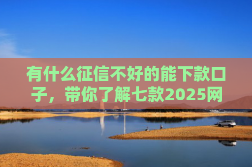 有什么征信不好的能下款口子，带你了解七款2025网贷下款的口子