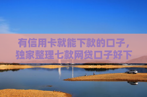 有信用卡就能下款的口子，独家整理七款网贷口子好下款1001