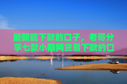 最新能下款的口子，老哥分享七款小额网贷易下款的口子