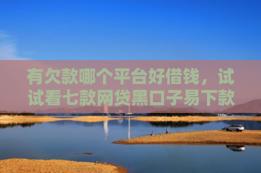 有欠款哪个平台好借钱，试试看七款网贷黑口子易下款