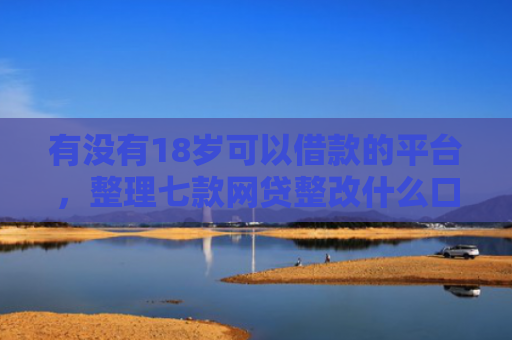 有没有18岁可以借款的平台，整理七款网贷整改什么口子下款