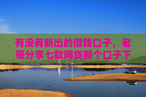 有没有新出的借钱口子，老哥分享七款网贷那个口子下款快