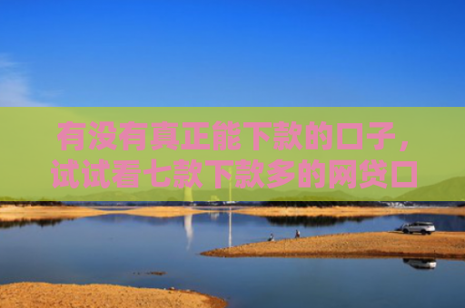 有没有真正能下款的口子，试试看七款下款多的网贷口子