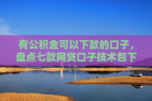 有公积金可以下款的口子，盘点七款网贷口子技术包下款