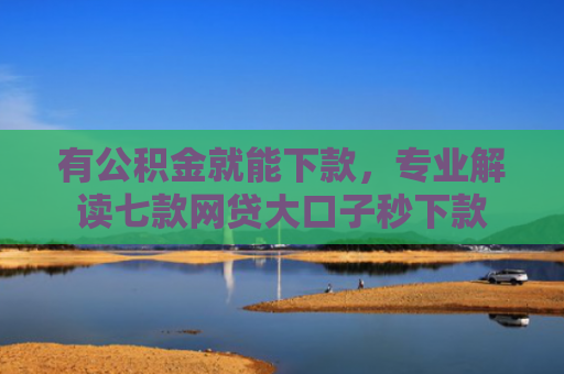 有公积金就能下款，专业解读七款网贷大口子秒下款