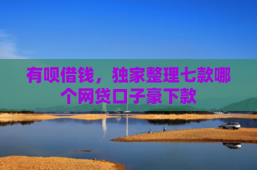 有呗借钱，独家整理七款哪个网贷口子豪下款
