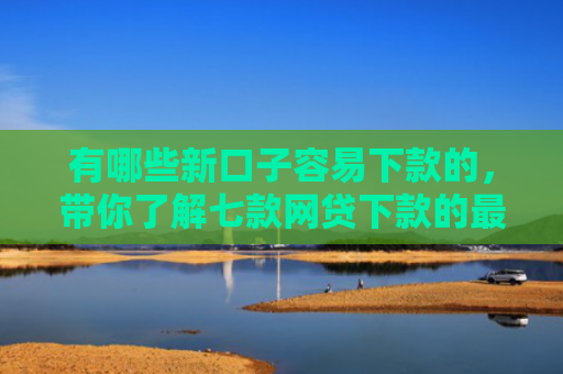 有哪些新口子容易下款的，带你了解七款网贷下款的最新口子