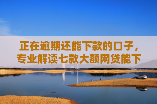 正在逾期还能下款的口子，专业解读七款大额网贷能下款的口子