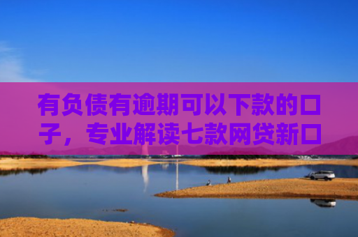 有负债有逾期可以下款的口子，专业解读七款网贷新口子下款块
