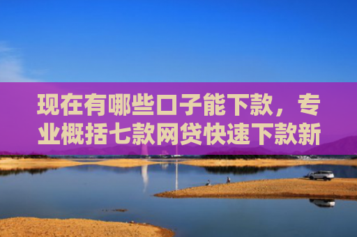 现在有哪些口子能下款，专业概括七款网贷快速下款新口子