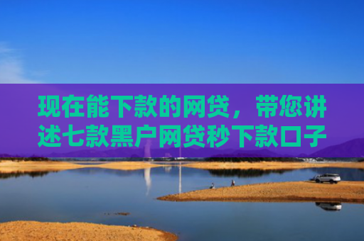 现在能下款的网贷，带您讲述七款黑户网贷秒下款口子