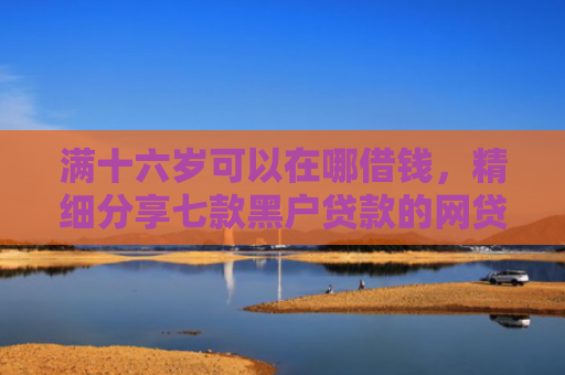 满十六岁可以在哪借钱，精细分享七款黑户贷款的网贷能下款吗