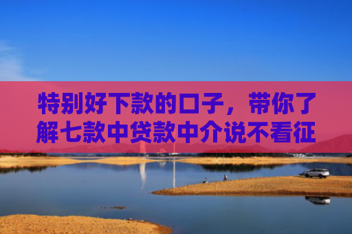 特别好下款的口子，带你了解七款中贷款中介说不看征信直接下款