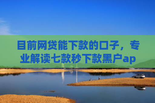目前网贷能下款的口子，专业解读七款秒下款黑户app6