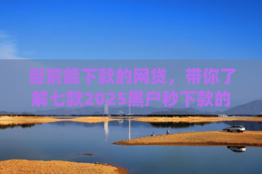 目前能下款的网贷，带你了解七款2025黑户秒下款的app