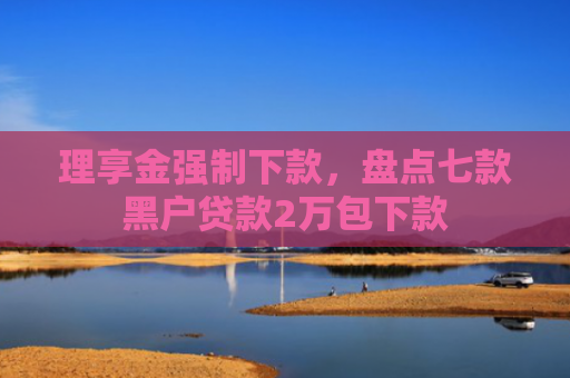 理享金强制下款，盘点七款黑户贷款2万包下款