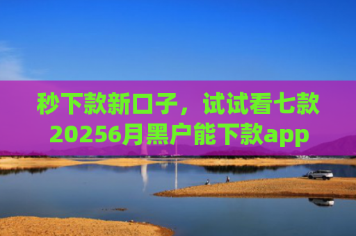 秒下款新口子，试试看七款20256月黑户能下款app