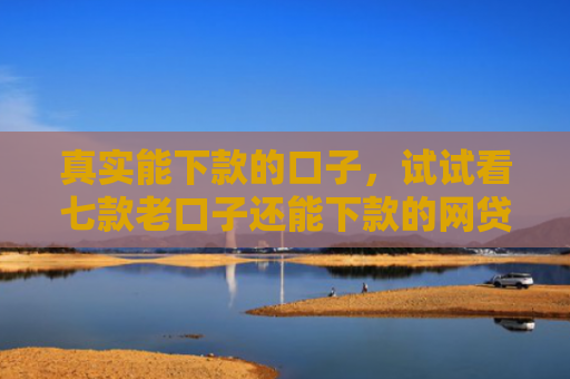 真实能下款的口子，试试看七款老口子还能下款的网贷