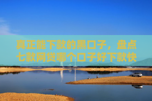 真正能下款的黑口子，盘点七款网贷哪个口子好下款快点
