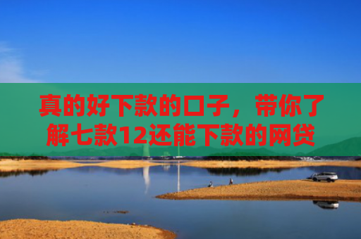 真的好下款的口子，带你了解七款12还能下款的网贷口子