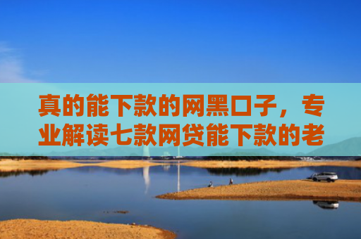 真的能下款的网黑口子，专业解读七款网贷能下款的老口子