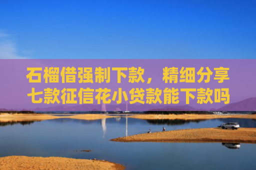 石榴借强制下款，精细分享七款征信花小贷款能下款吗