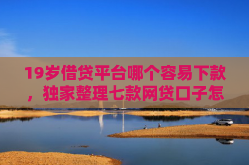 19岁借贷平台哪个容易下款，独家整理七款网贷口子怎样下款