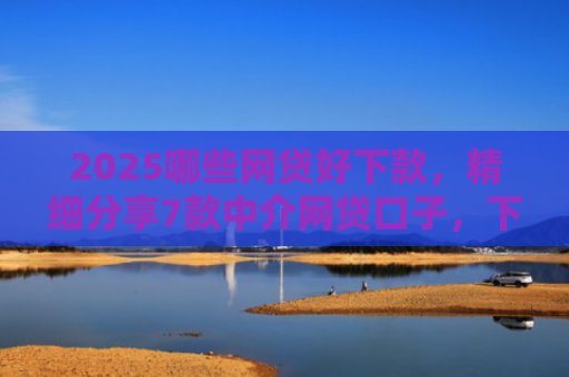 2025哪些网贷好下款，精细分享7款中介网贷口子，下款高