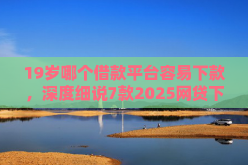19岁哪个借款平台容易下款，深度细说7款2025网贷下款口子
