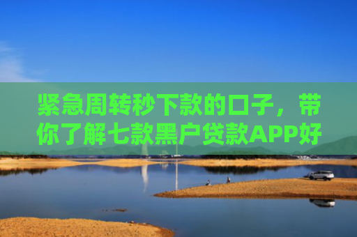 紧急周转秒下款的口子，带你了解七款黑户贷款APP好下款