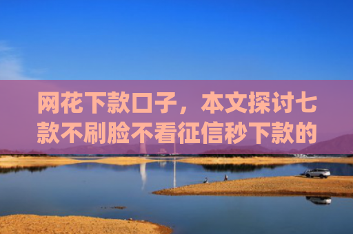 网花下款口子，本文探讨七款不刷脸不看征信秒下款的app