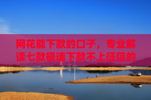 网花能下款的口子，专业解读七款极速下款不上征信的app有什么