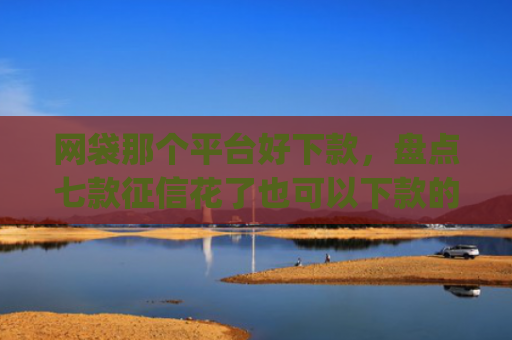 网袋那个平台好下款，盘点七款征信花了也可以下款的app