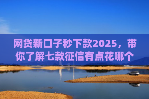 网贷新口子秒下款2025，带你了解七款征信有点花哪个app可以下款