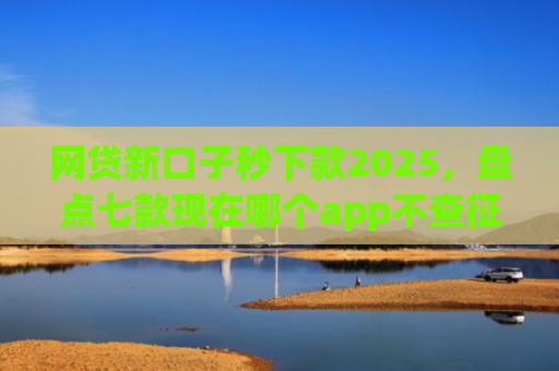 网贷新口子秒下款2025，盘点七款现在哪个app不查征信还能下款